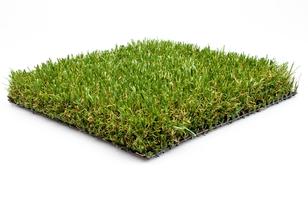 EcoGreen45
